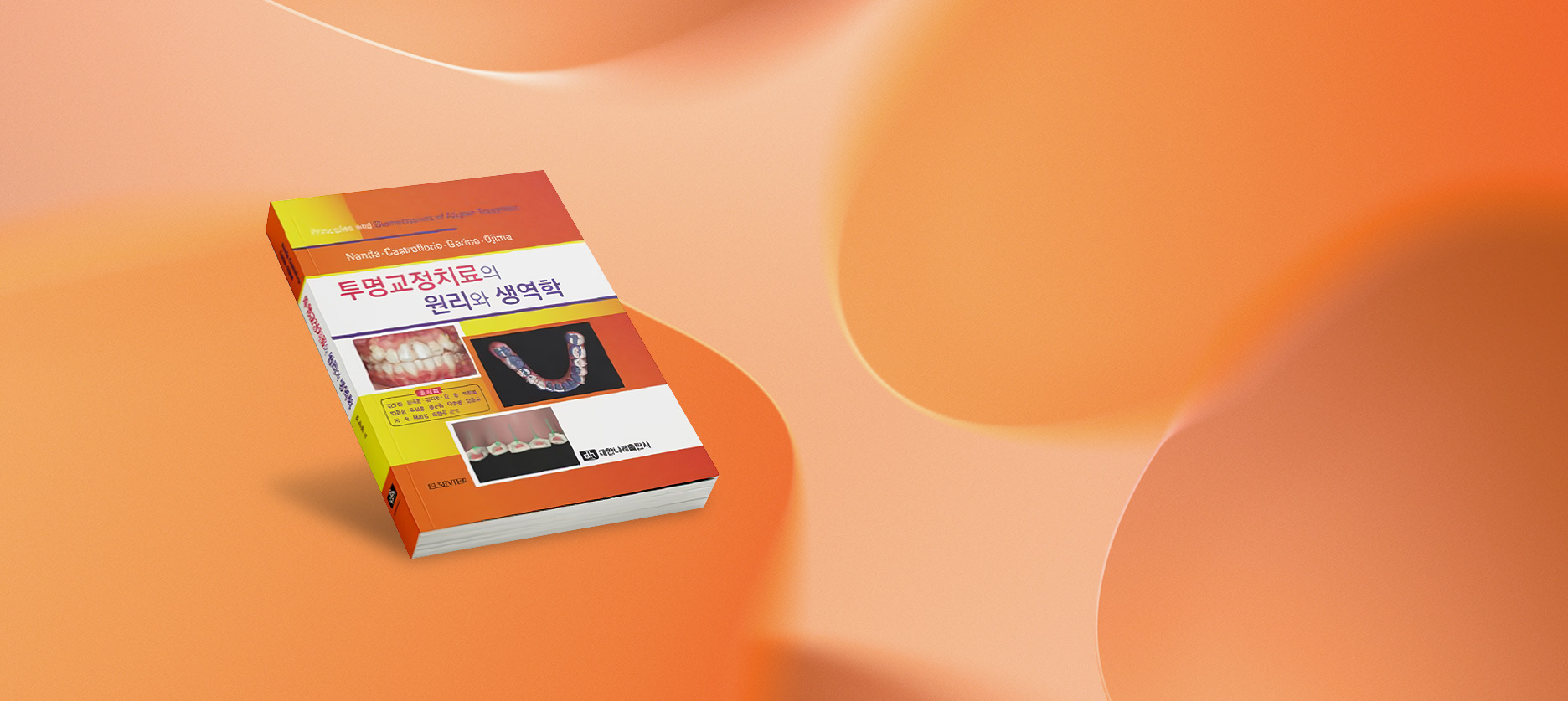 생역학적원리에 충실한 투명교정치료