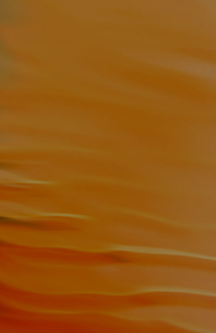 진료시간 및 오시는길