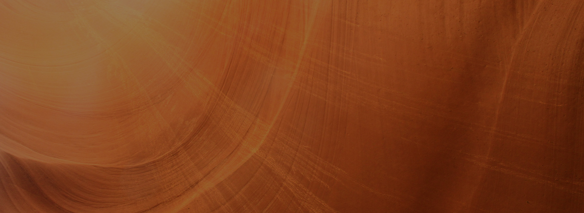 원데이 프로그램